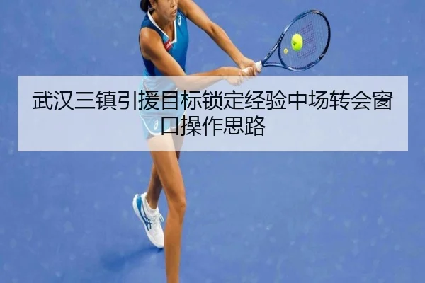 武汉三镇引援目标锁定经验中场转会窗口操作思路（MangosSports）